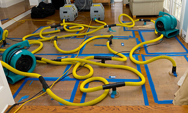 Professional Storm Water Damage Restoration technician working in Chesterland, OH